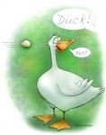 duck_450