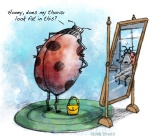 ladybug