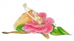 petal_camellia