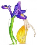 petal-iris