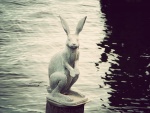 «Зайчик, спасшийся от наводнения» Санкт-Петербург
