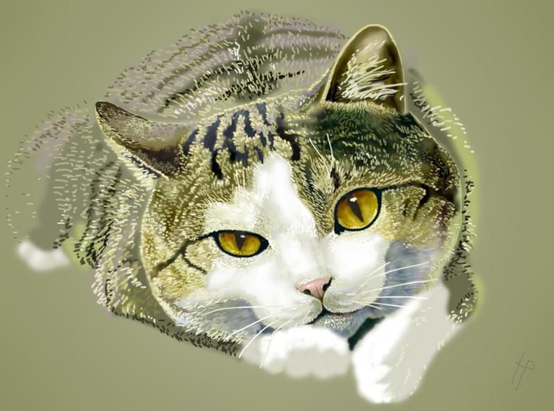 Natalya-Rymar---Animalistika---Murlyka