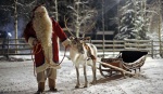 "Дед Мороз" и новогодние /рождественские традиции