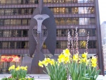 Безымянная скульптура Пикассо в Чикаго, Daley Plaza