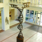 DNA, 2007 _ University of Florida