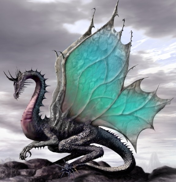 dragon_55