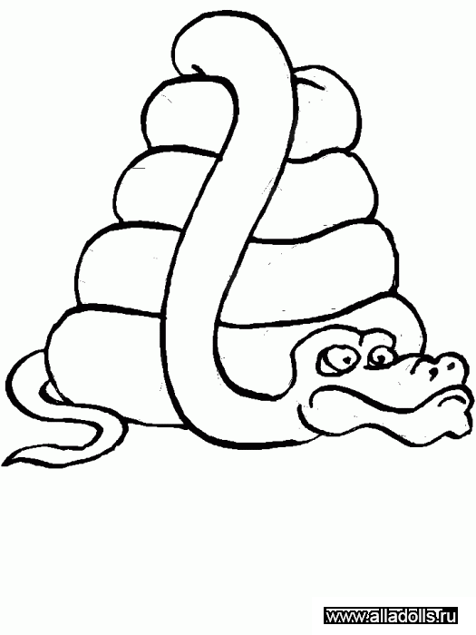 snake6