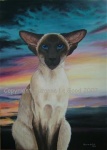 Canvas_Siamese_Sunset_Cprt