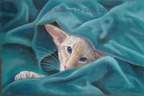 PASTEL_BLUE_VELVET_CPRT