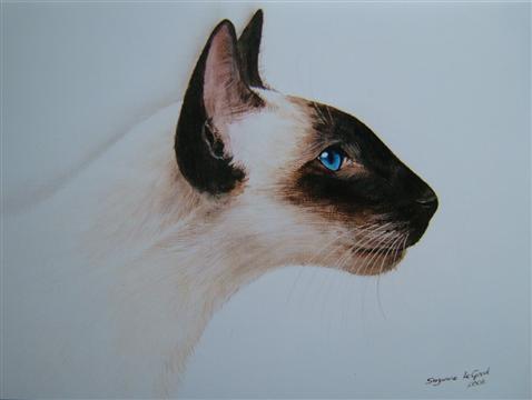 Sealpoint_Siamese_profile_canvas