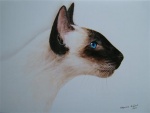 Sealpoint_Siamese_profile_canvas