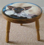 Stool_SPSiamese_side