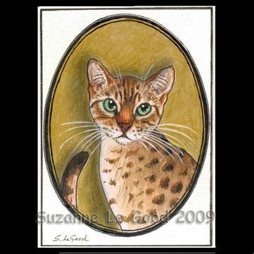 ACEO_Bengal_in_oval_cprt