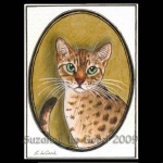 ACEO_Bengal_in_oval_cprt