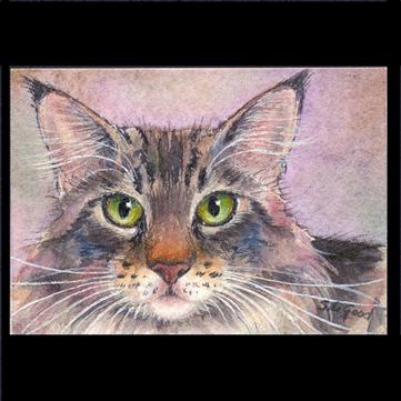 ACEO_Maine_Coon