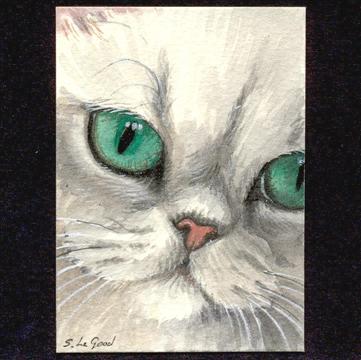 ACEO_Chinchilla_looking_down