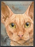 ACEO_Red_Cornish_Rex_cprt