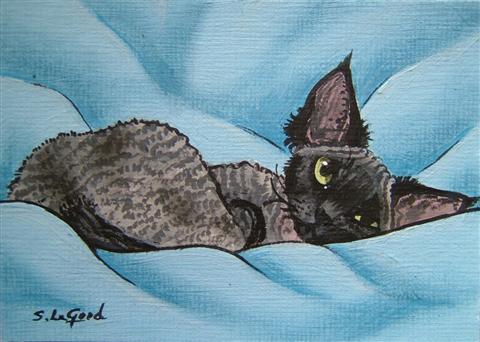 ACEO_Devon_on_Blue_Blanket