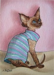 ACEO_Devon_in_Tshirt_1m