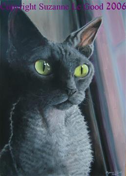 canvas__window___cpt