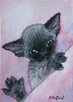 ACEO_Devon_gremlin