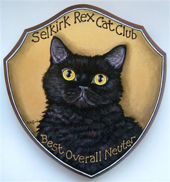 Trophy_Selk_Rex_Neuter