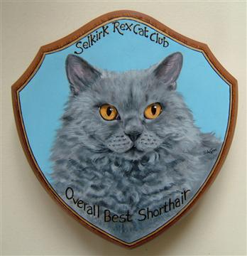 Trophy_Selkirk_Rex_Short
