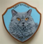 Trophy_Selkirk_Rex_Short