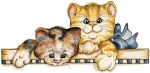BDR Kittens