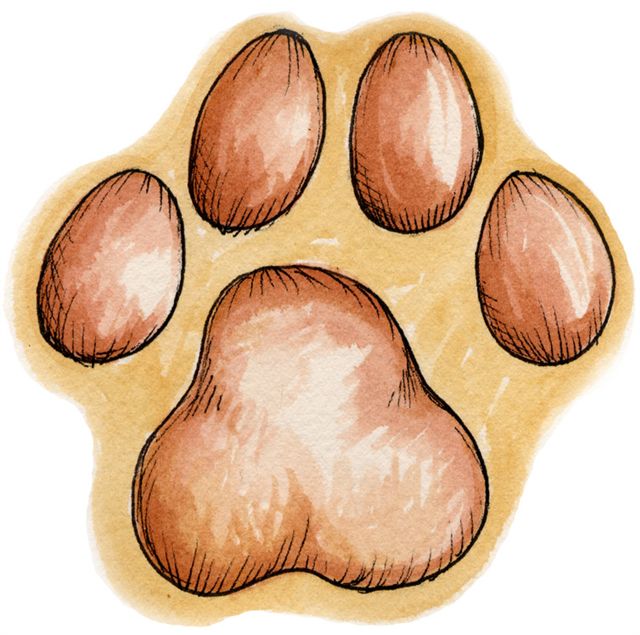 Paw Print (3)