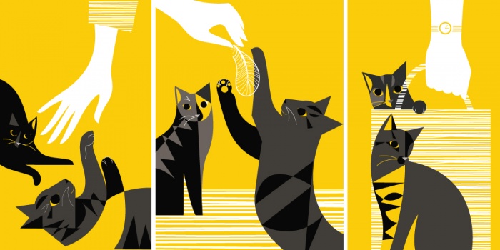 0_7f7d2_1b8a539c_XXL