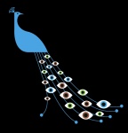 60512473_peacock_eyes_480