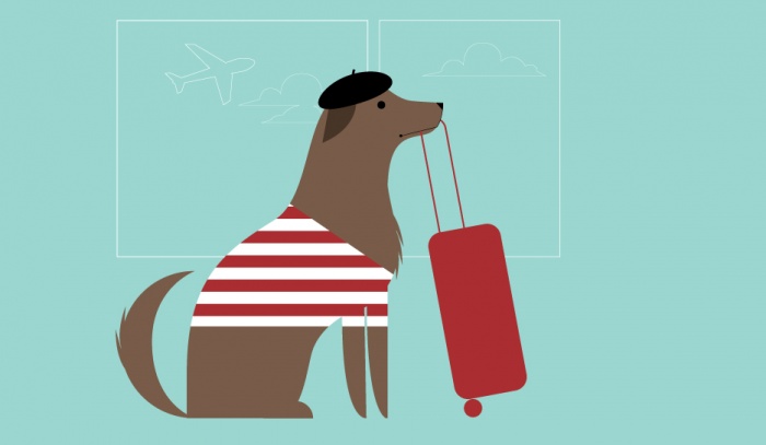 c30b99a1c69bb9f03c2034dd0eab46fa