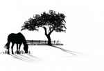 grazing-horse-silhouette-vector-pack_275-7530