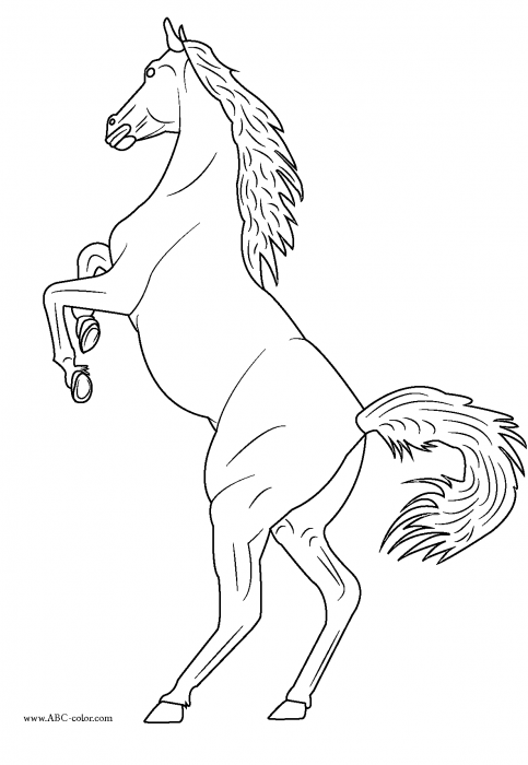 knight-bitmap-coloring