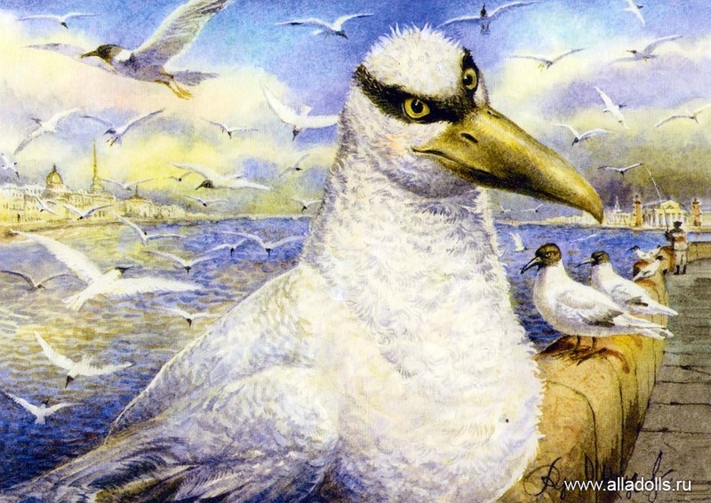 Невский Зорро