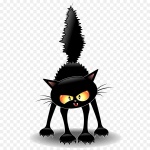 kisspng-black-cat-kitten-witchcraft-frightened-cat-5aa9255da68698.9617527115210345896821