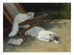 arthur-heyer-two-white-persian-cats-with-a-ladybird-by-a-deckchair-19th-century