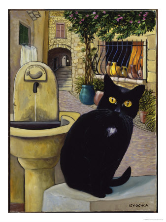 isy-ochoa-european-cat-at-st-paul-de-vence-france