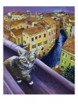 isy-ochoa-cat-of-venice-chat-de-venise