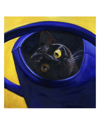 isy-ochoa-cat-in-the-watering-can-chat-a-larrosoir