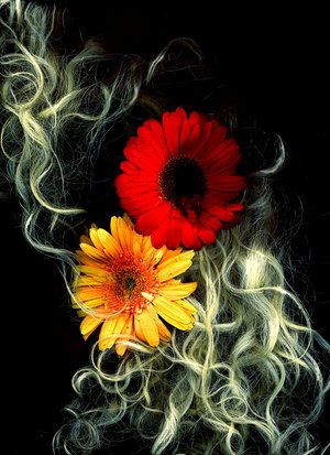 Flowers_in_my_hair_by_zeldis