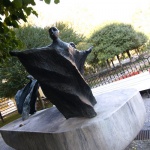 pw_11312781_IMG_6302