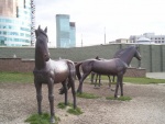 Астана _ Табун лошадей на Круглой площади