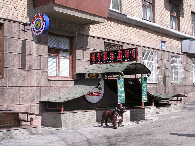 Киев_Скульптура собаки