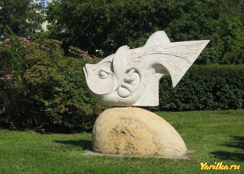 1249745941_foto_13500