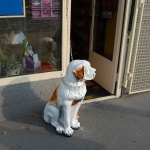Будапешт. Скульптура.Собачка у магазина