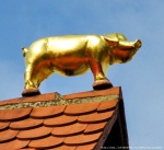 Нюрнберг _ Скульптура на крыше. Свинья
