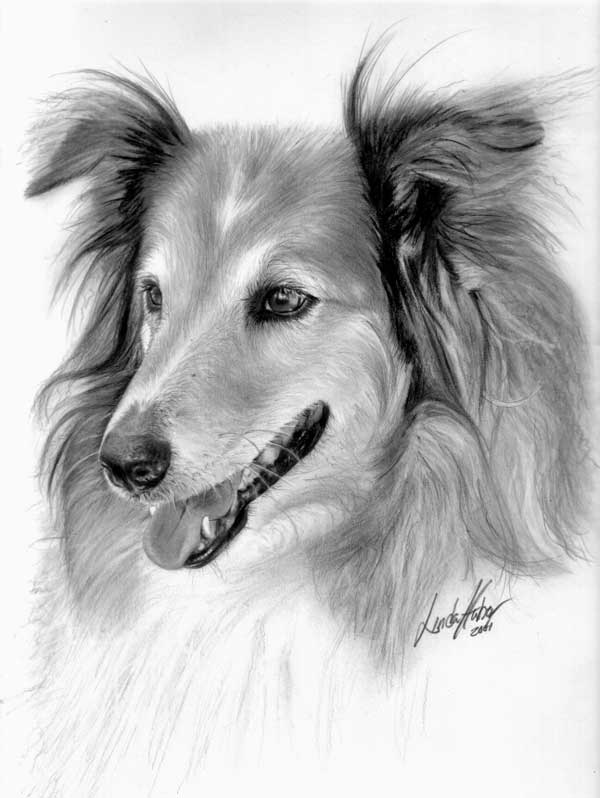 linda-huber-pencil-art-25