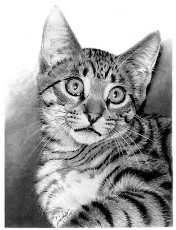 linda-huber-pencil-art-35